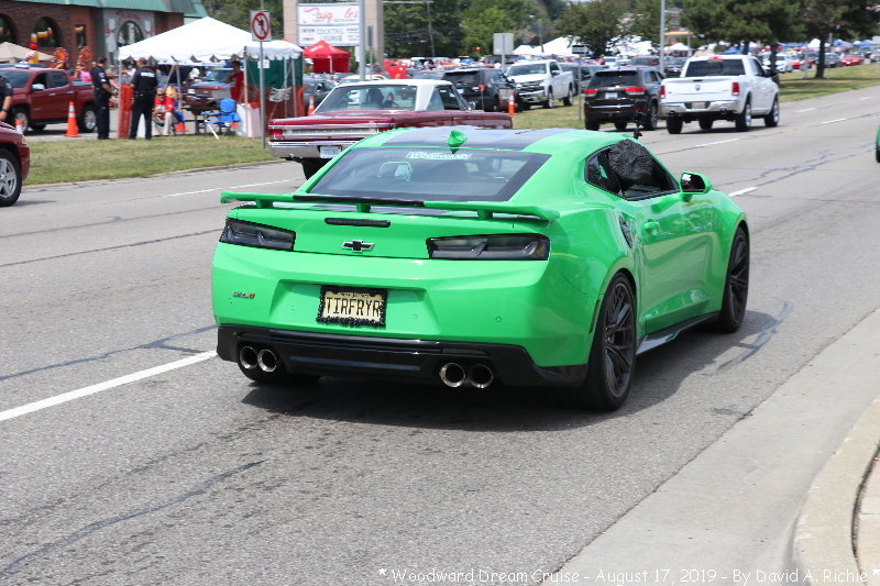 IMG_5362-Frank & Camaro.jpg